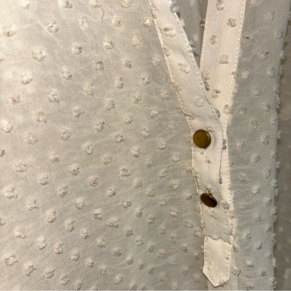 Lumiere Off-White Swiss dot Sheer Blouse - Picture 2 of 9
